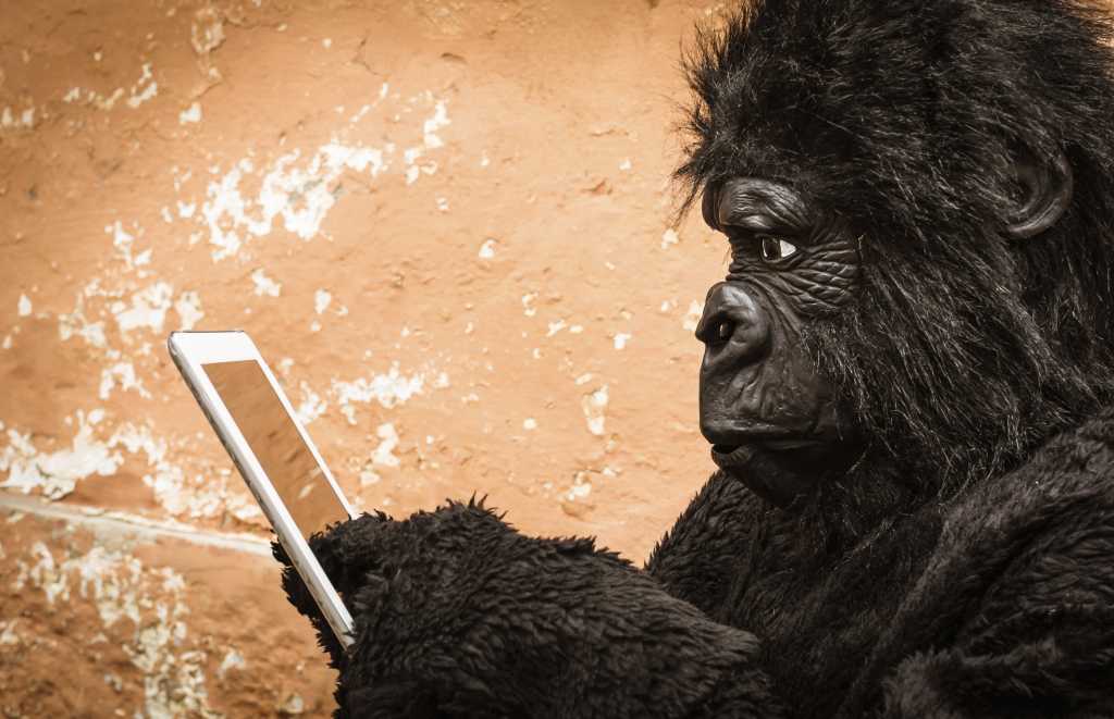 Gorilla with tablet 186293820