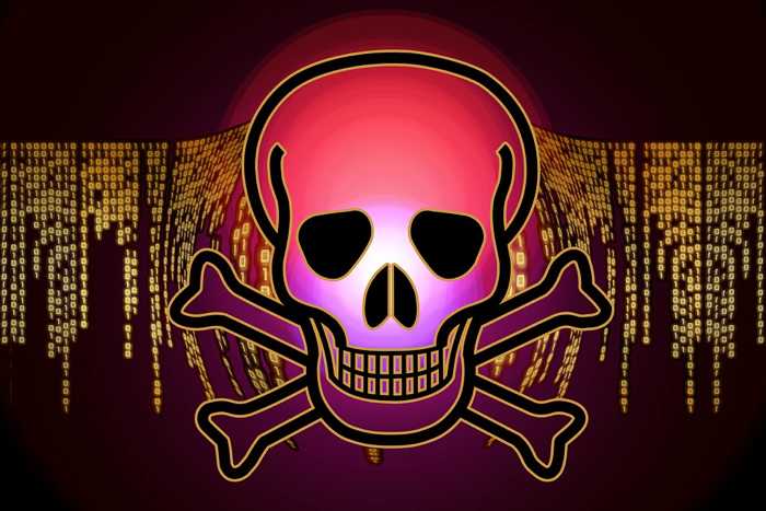 skull