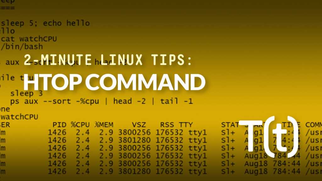 How to use the htop command to monitor system performance | Network World